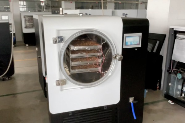 SCIENTZ-50YG/A中試型凍干機草藥凍干應用實測