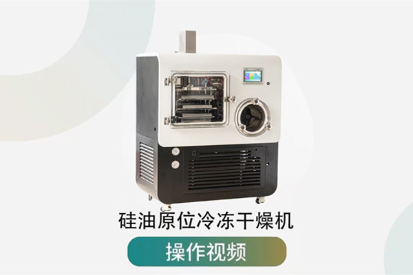 中試型硅油原位冷凍干燥機操作視頻