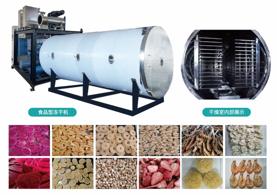 食品型冷凍干燥機(jī)SCIENTZ-SG