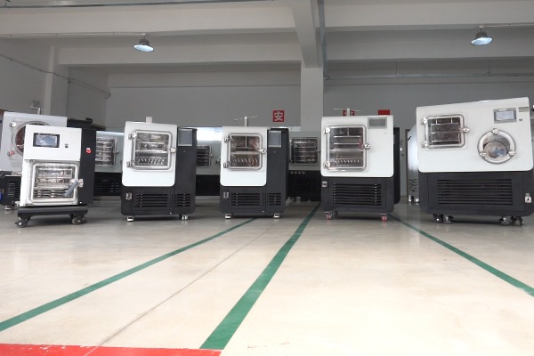 實驗室真空冷凍干燥機